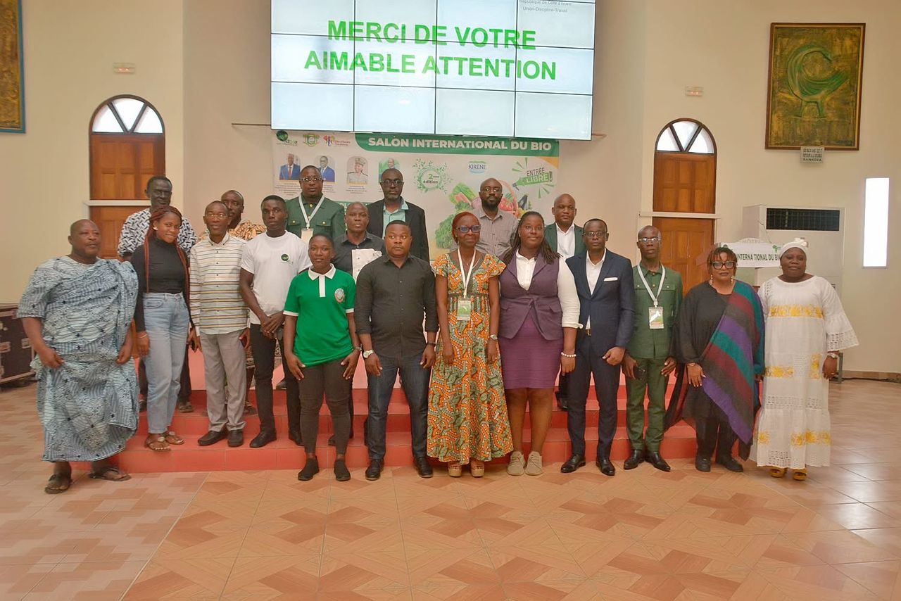 Ambiance du salon